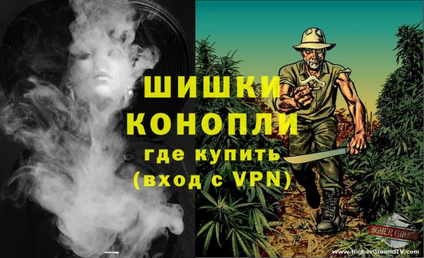 трава Балахна