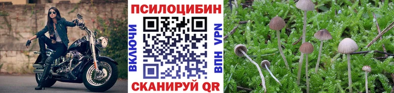 mega ссылка Мариинский Посад Галлюциногенные грибы мицелий где купить наркотик